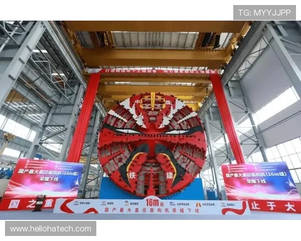 岳阳队足球奋勇拼搏展现湖湘精神推动城市体育高质量发展