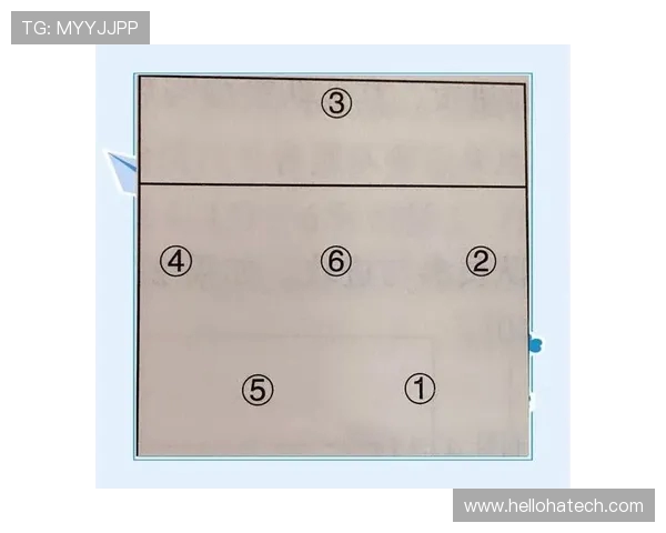 武汉排球队的战术解析与技术控制深度剖析