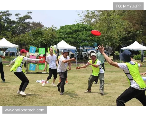 飞盘个人能力排行榜揭晓上海飞盘队荣获第三名成就引关注